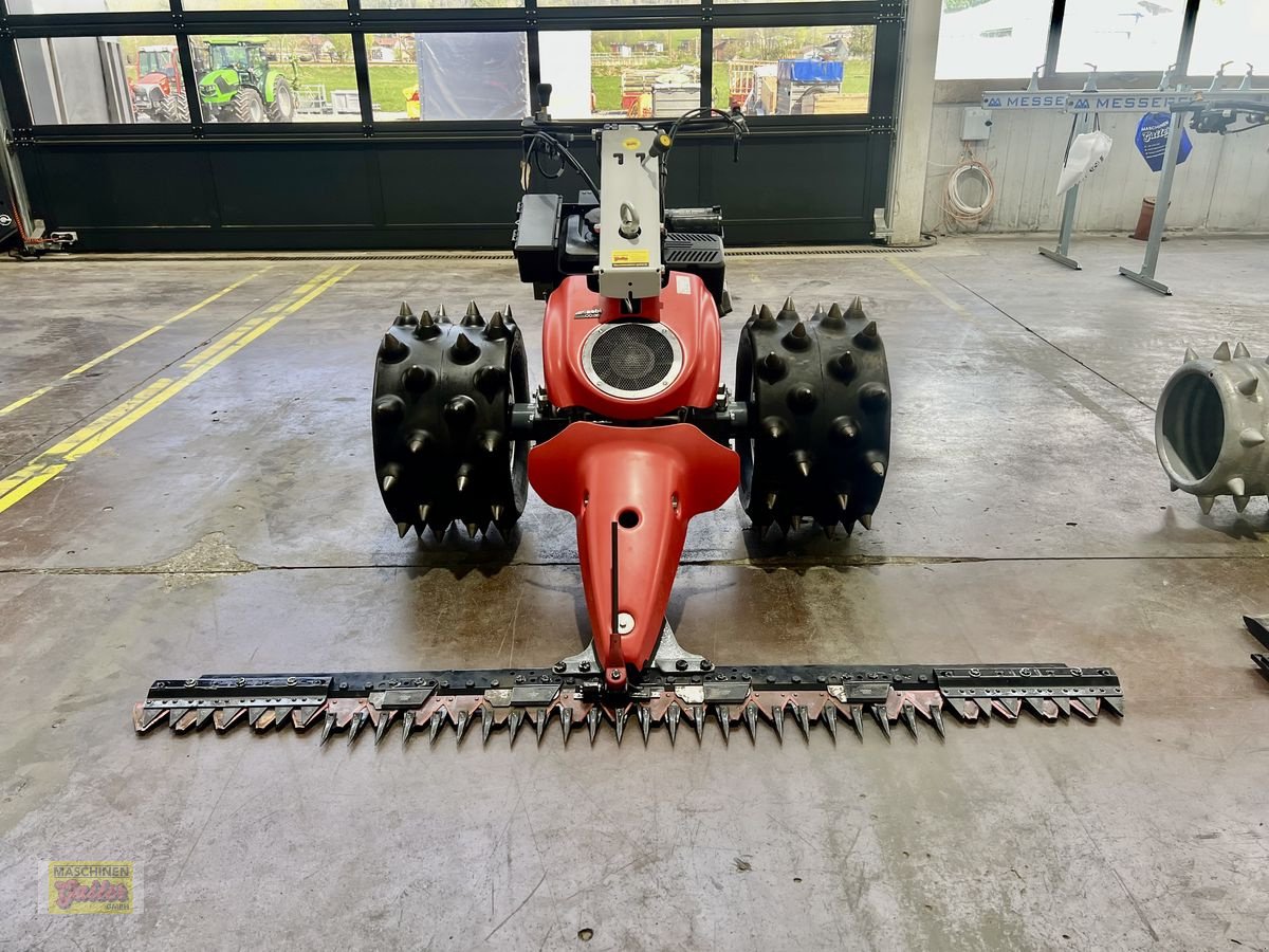 Motormäher des Typs Aebi CC36 14PS mit LS-GRIP Stachelwalzen, Neumaschine in Kötschach (Bild 2)