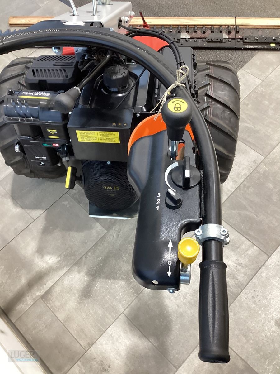 Motormäher of the type Aebi CC36 Motormäher, Neumaschine in Niederkappel (Picture 6)