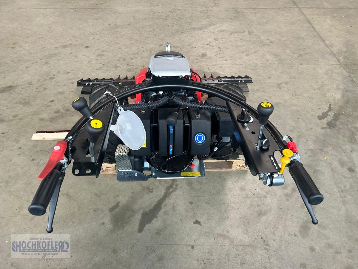 Motormäher a típus Aebi CC56, Neumaschine ekkor: Wies (Kép 5)