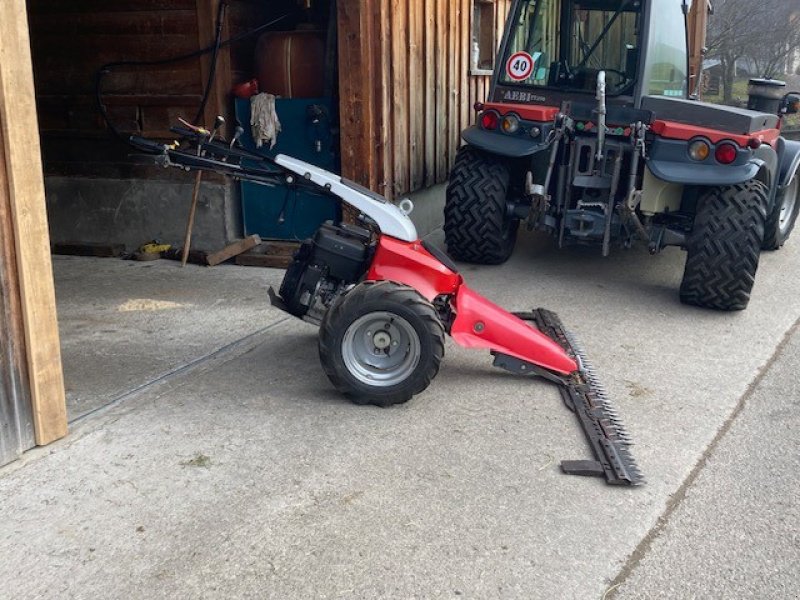 Motormäher του τύπου Aebi CC56, Gebrauchtmaschine σε Altendorf (Φωτογραφία 5)