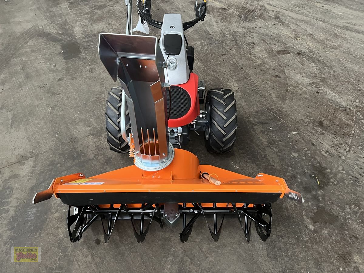 Motormäher of the type Aebi Cerruti Schneefräse L1200 passend zu AEBI, Neumaschine in Kötschach (Picture 12)