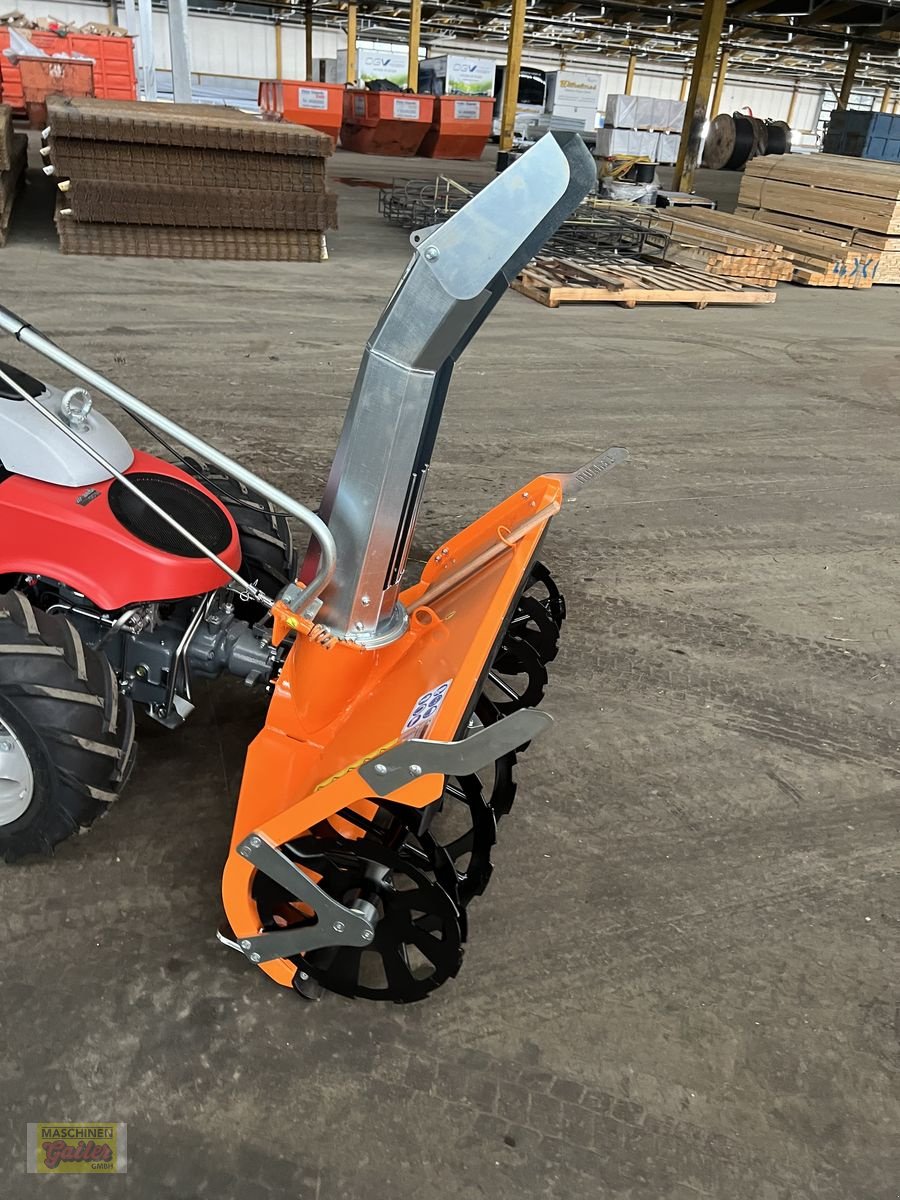 Motormäher of the type Aebi Cerruti Schneefräse L1200 passend zu AEBI, Neumaschine in Kötschach (Picture 2)