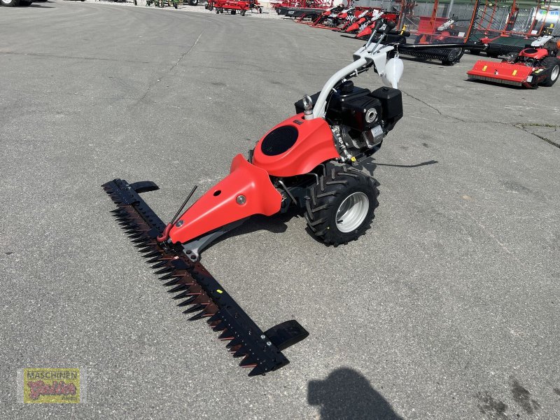 Motormäher del tipo Aebi Combicut CC110 Aktionsmodell, Neumaschine In Kötschach (Immagine 1)