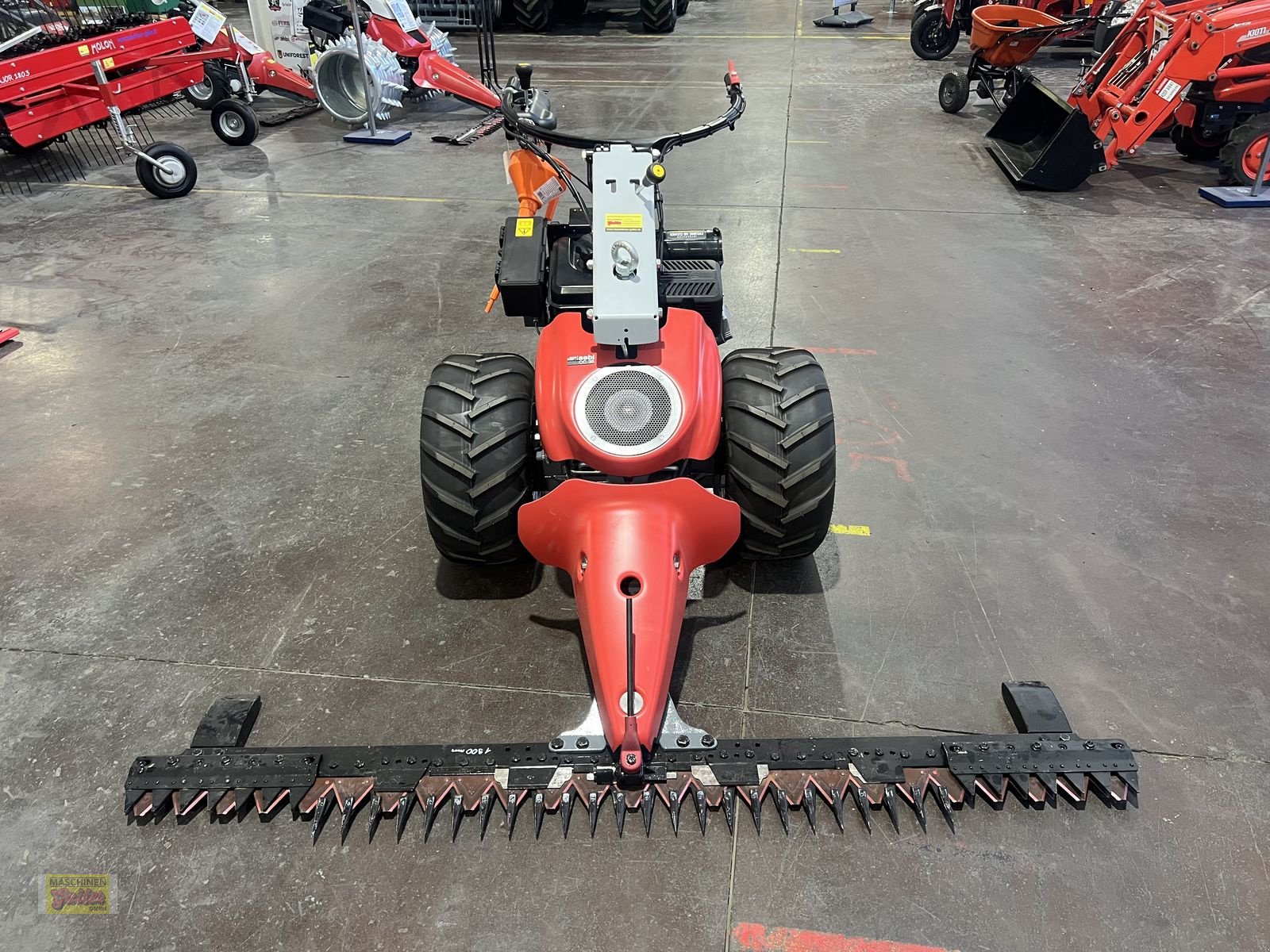 Motormäher Türe ait Aebi Combicut CC36 Aktionsmodell, Neumaschine içinde Kötschach (resim 3)