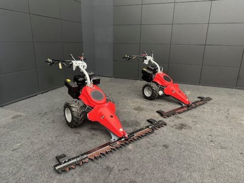 Motormäher del tipo Aebi Motormäher CC110 8PS 1,75m Freischnittbalken, Neumaschine In Tamsweg (Immagine 1)