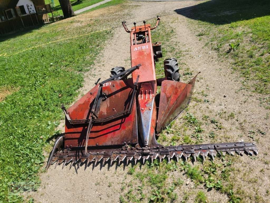 Motormäher des Typs Aebi Motormäher / Eingrasmäher Aebi AM 41, Gebrauchtmaschine in Dimbach (Bild 1)