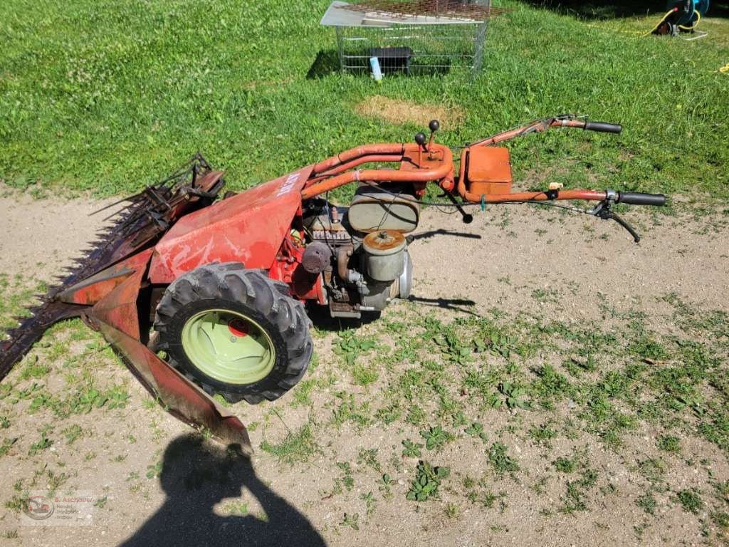 Motormäher des Typs Aebi Motormäher / Eingrasmäher Aebi AM 41, Gebrauchtmaschine in Dimbach (Bild 2)