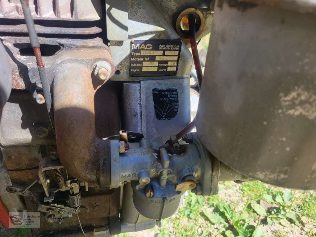 Motormäher des Typs Aebi Motormäher / Eingrasmäher Aebi AM 41, Gebrauchtmaschine in Dimbach (Bild 5)