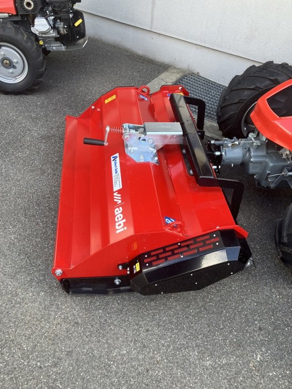 Motormäher of the type Aebi Sonstiges, Gebrauchtmaschine in Landquart (Picture 1)
