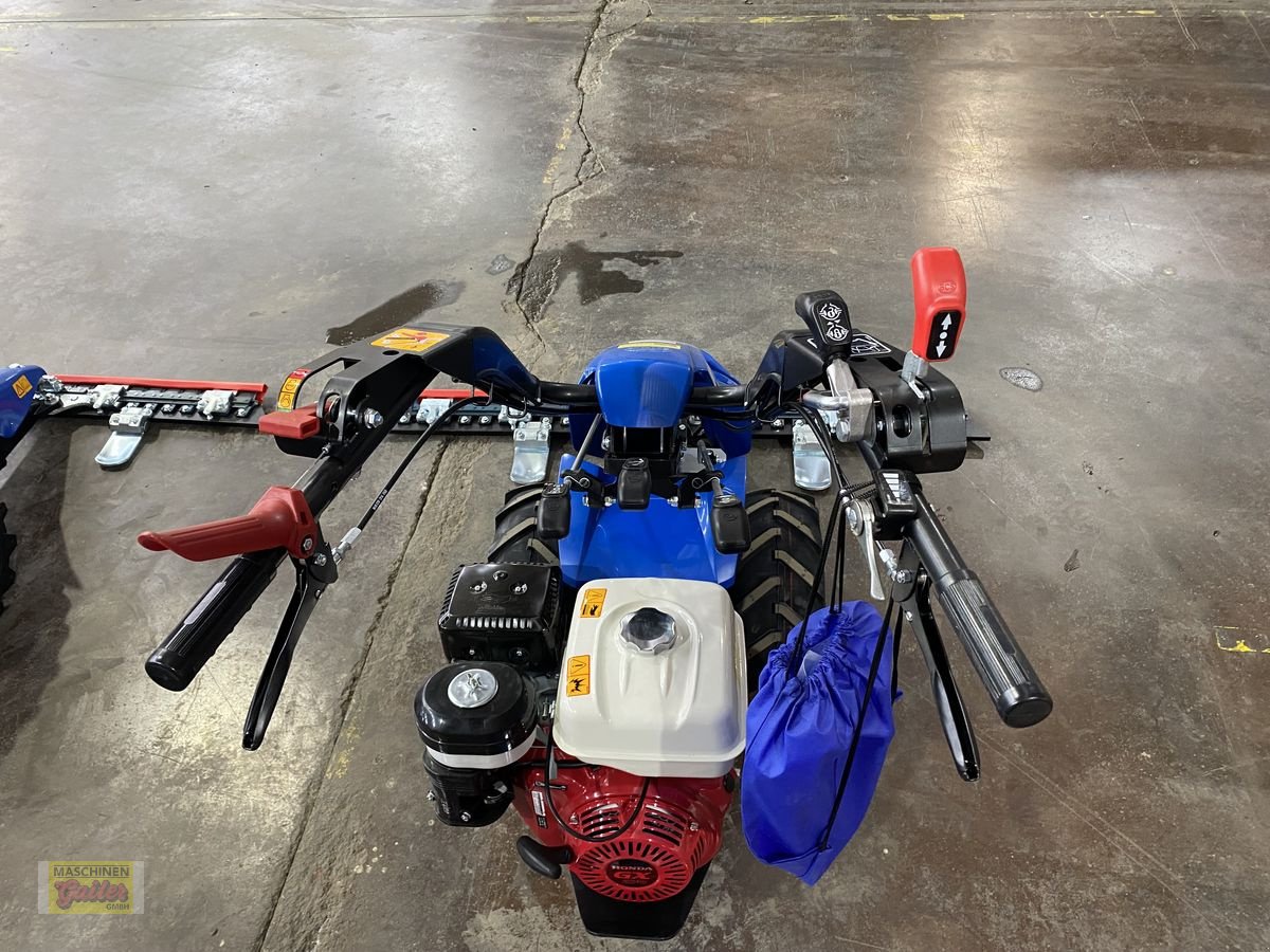 Motormäher des Typs BCS 618 3 Gang mit Honda Motor, Neumaschine in Kötschach (Bild 3)