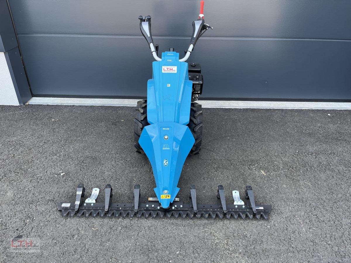 Motormäher of the type Bertolini 150 S, Neumaschine in Gnas (Picture 3)