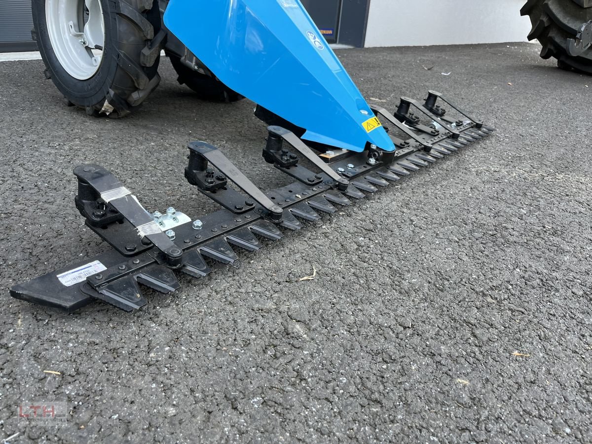 Motormäher of the type Bertolini 150 S, Neumaschine in Gnas (Picture 4)