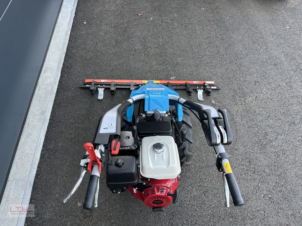 Motormäher of the type Bertolini 150 S, Neumaschine in Gnas (Picture 8)