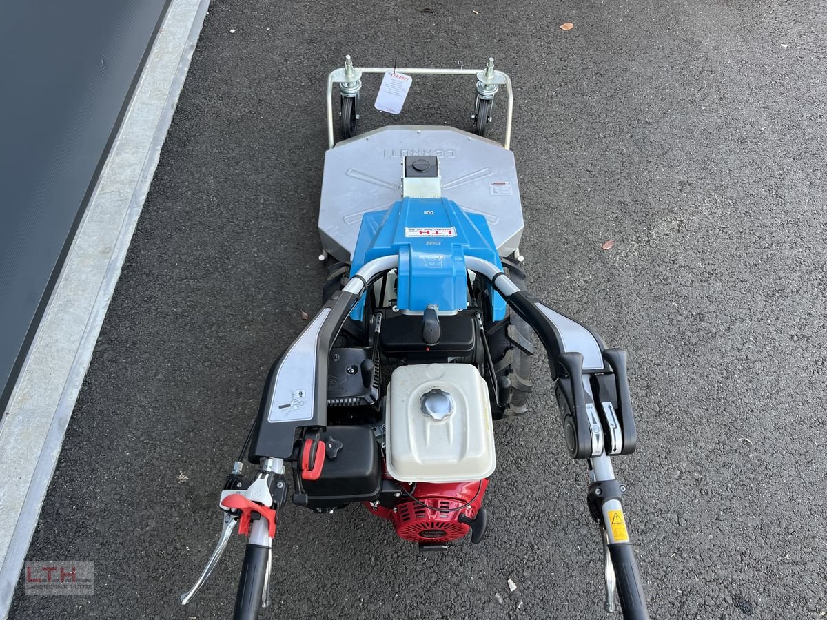 Motormäher of the type Bertolini 150 S, Neumaschine in Gnas (Picture 16)