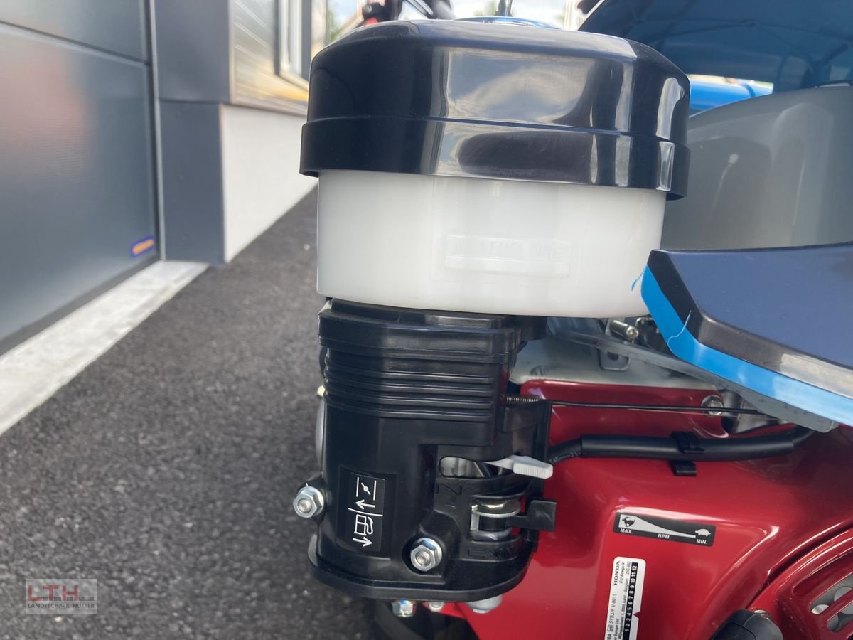 Motormäher of the type Bertolini 413, Neumaschine in Gnas (Picture 10)