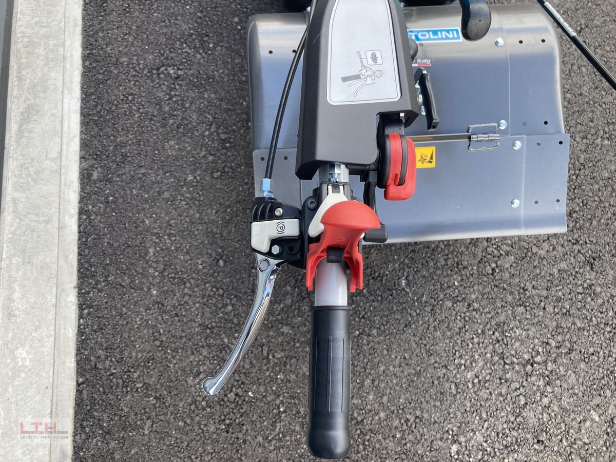 Motormäher of the type Bertolini 413, Neumaschine in Gnas (Picture 11)