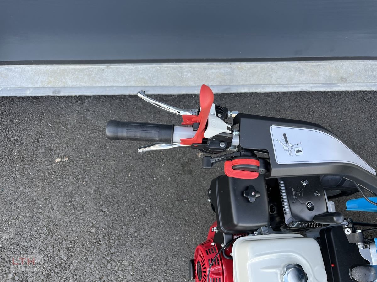 Motormäher des Typs Bertolini Alpin 150 MS, Neumaschine in Gnas (Bild 12)