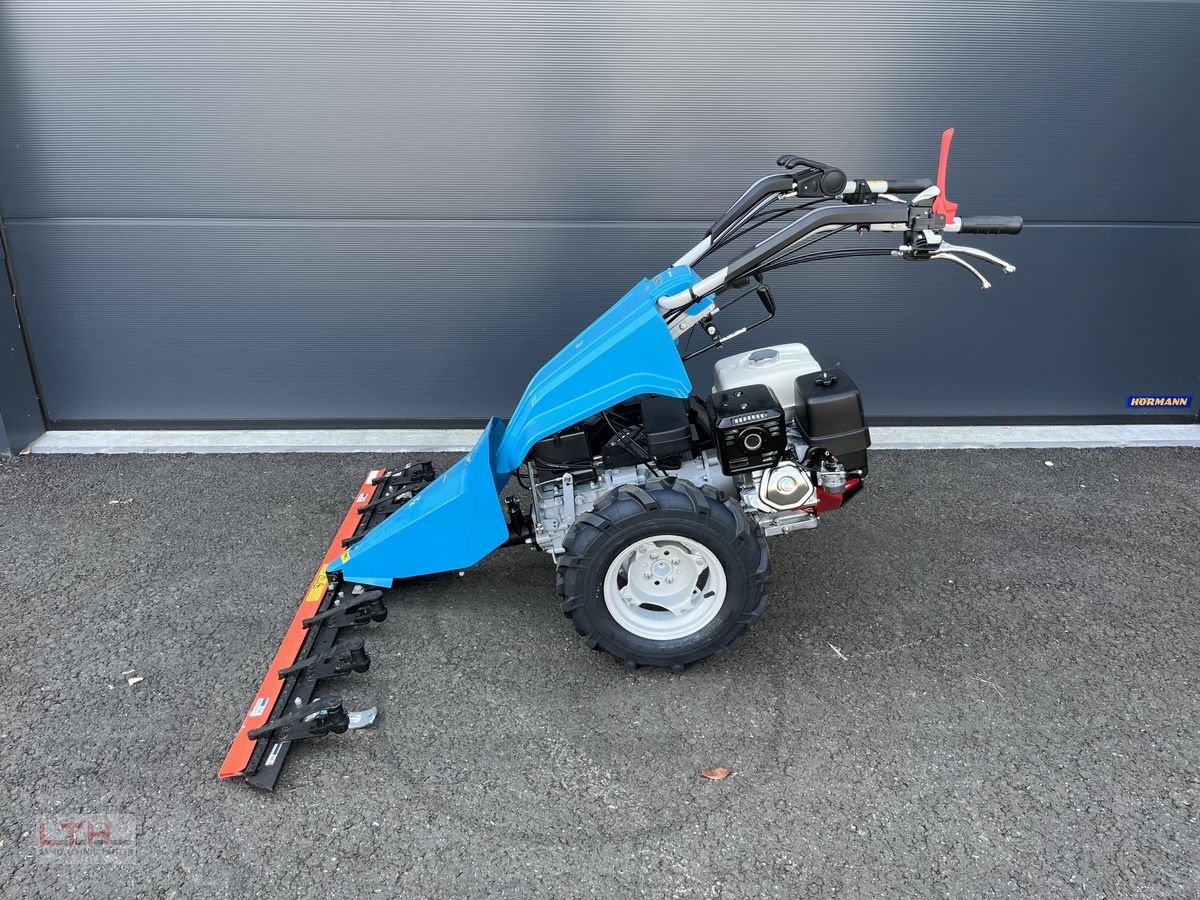Motormäher des Typs Bertolini Alpin 150 MS, Neumaschine in Gnas (Bild 7)