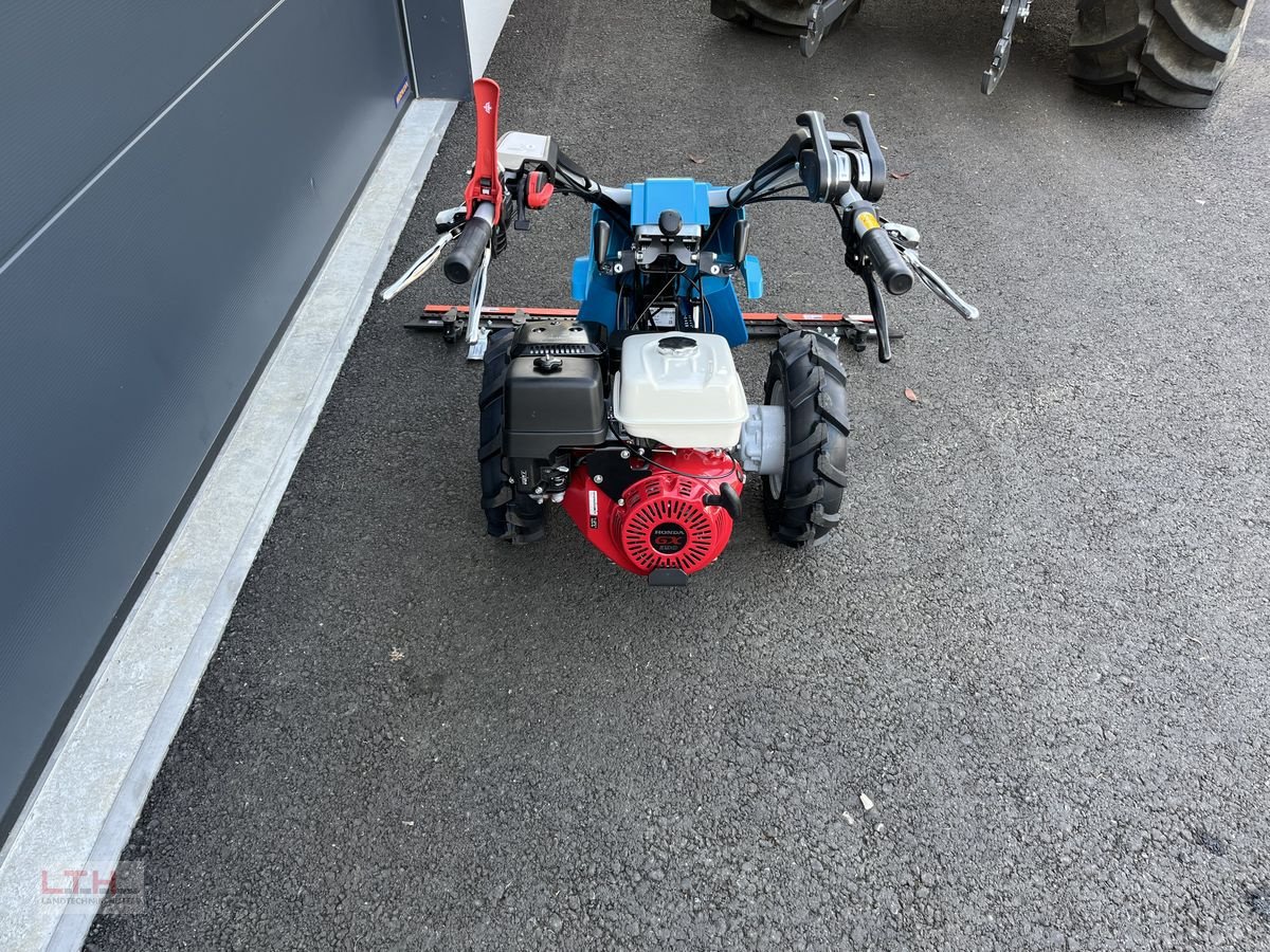 Motormäher des Typs Bertolini Alpin 150 MS, Neumaschine in Gnas (Bild 8)