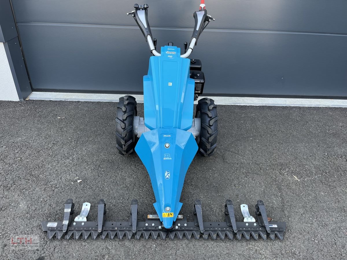 Motormäher des Typs Bertolini Alpin 150 MS, Neumaschine in Gnas (Bild 4)