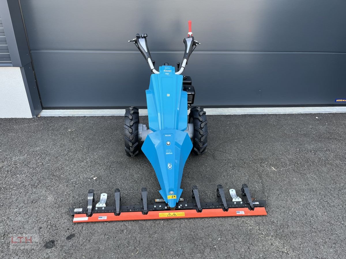 Motormäher des Typs Bertolini Alpin 150 MS, Neumaschine in Gnas (Bild 1)