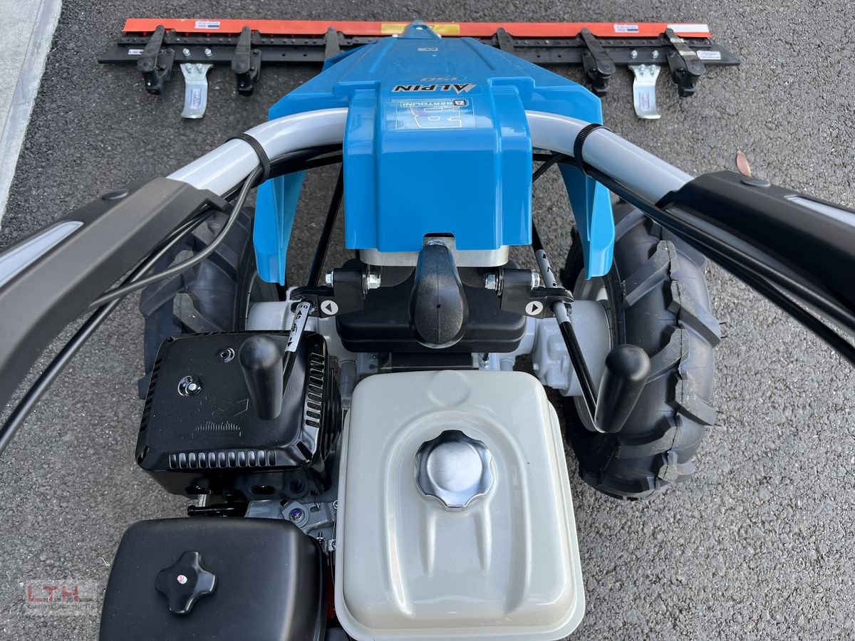 Motormäher des Typs Bertolini Alpin 150 MS, Neumaschine in Gnas (Bild 13)