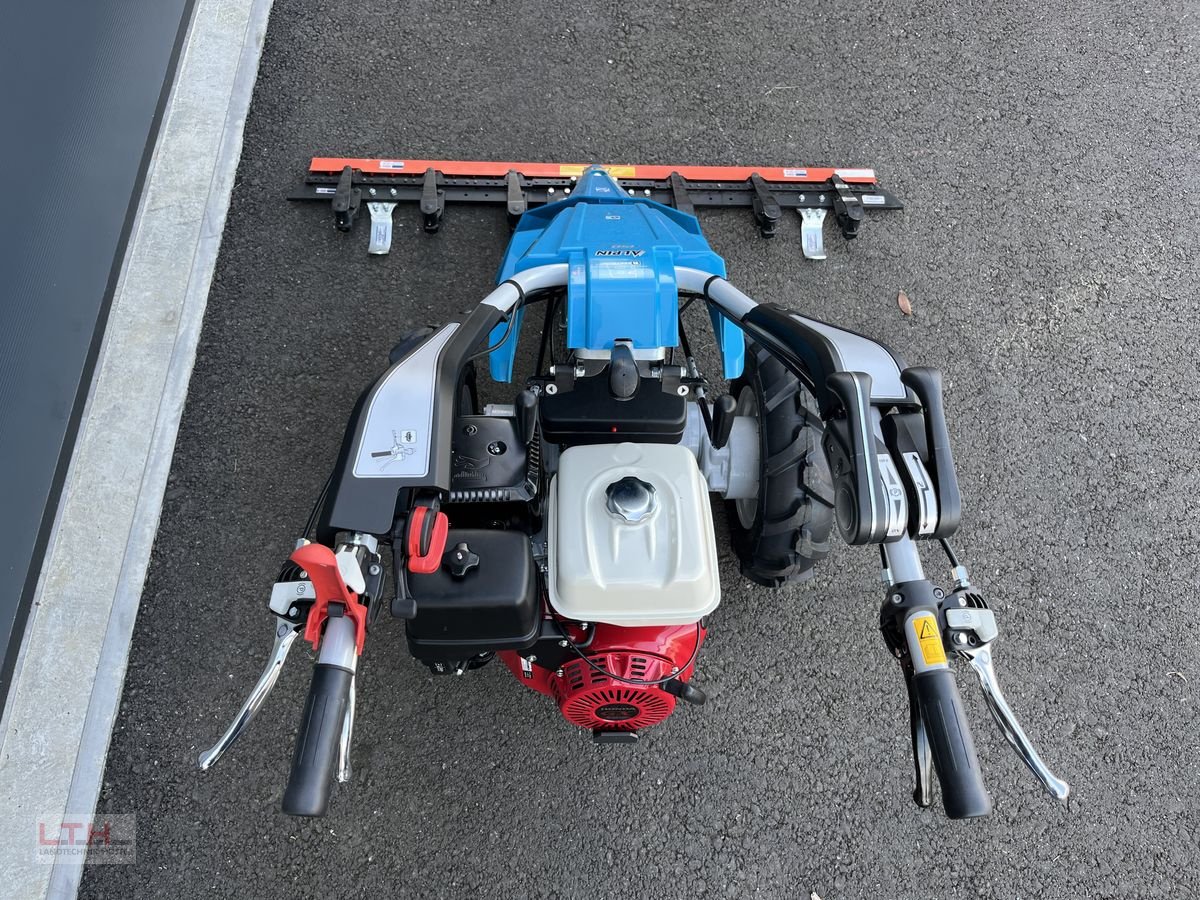 Motormäher des Typs Bertolini Alpin 150 MS, Neumaschine in Gnas (Bild 9)