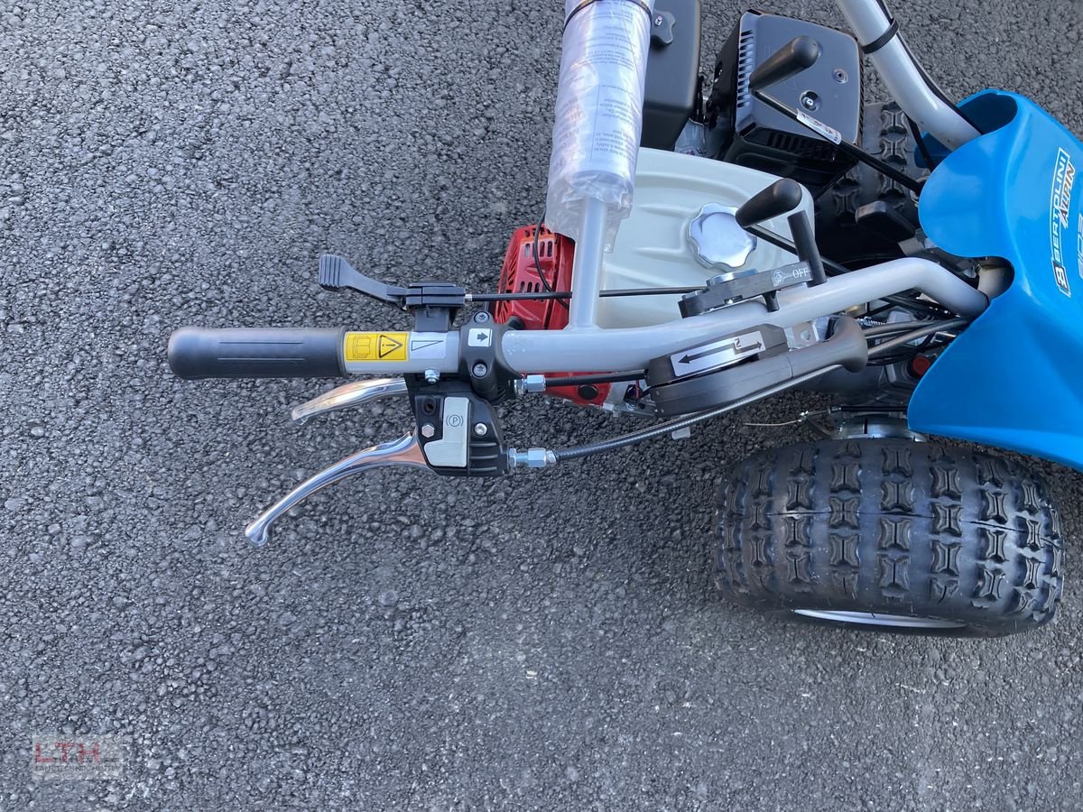 Motormäher του τύπου Bertolini B 103 Alpin, Neumaschine σε Gnas (Φωτογραφία 8)