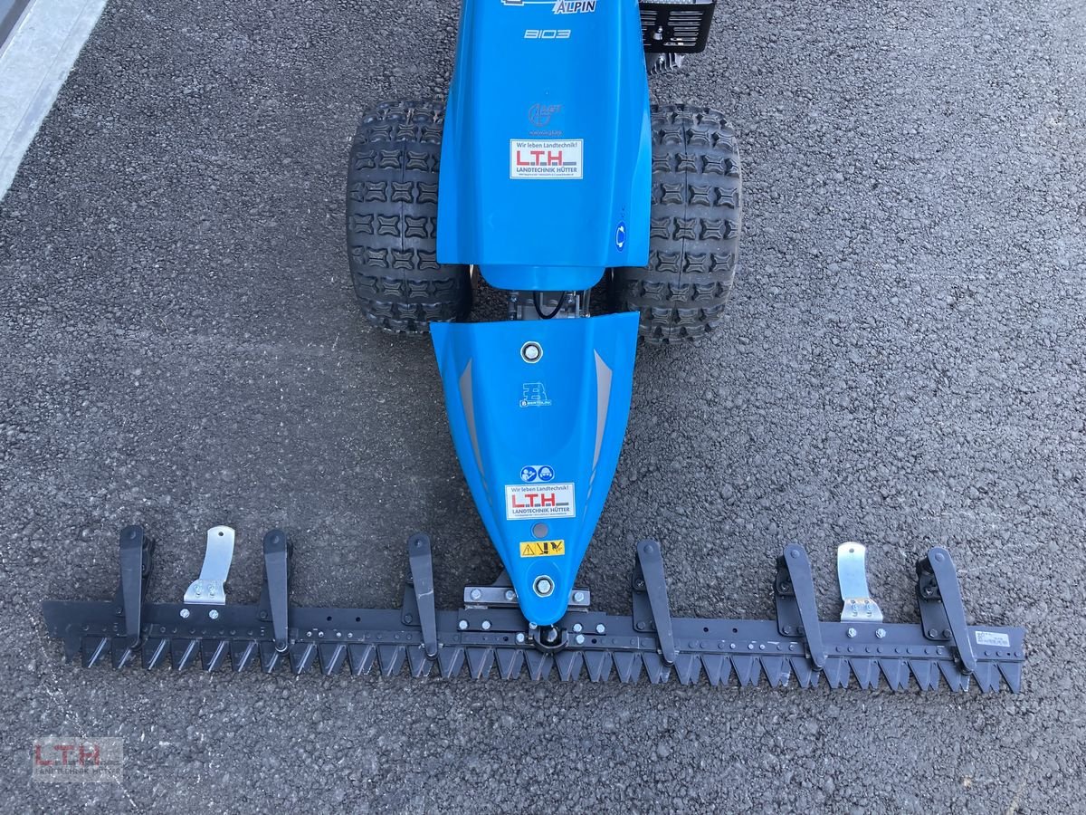 Motormäher του τύπου Bertolini B 103 Alpin, Neumaschine σε Gnas (Φωτογραφία 3)