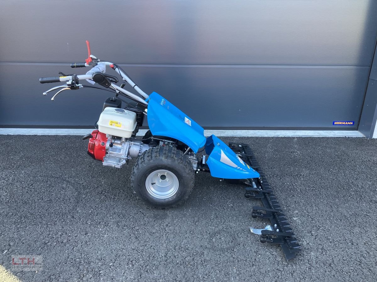 Motormäher του τύπου Bertolini B 103 Alpin, Neumaschine σε Gnas (Φωτογραφία 10)