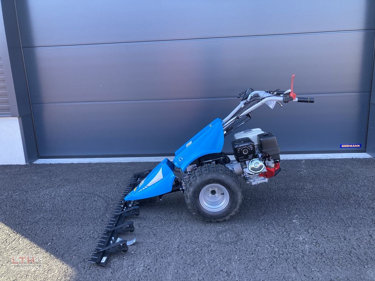 Motormäher του τύπου Bertolini B 103 Alpin, Neumaschine σε Gnas (Φωτογραφία 1)