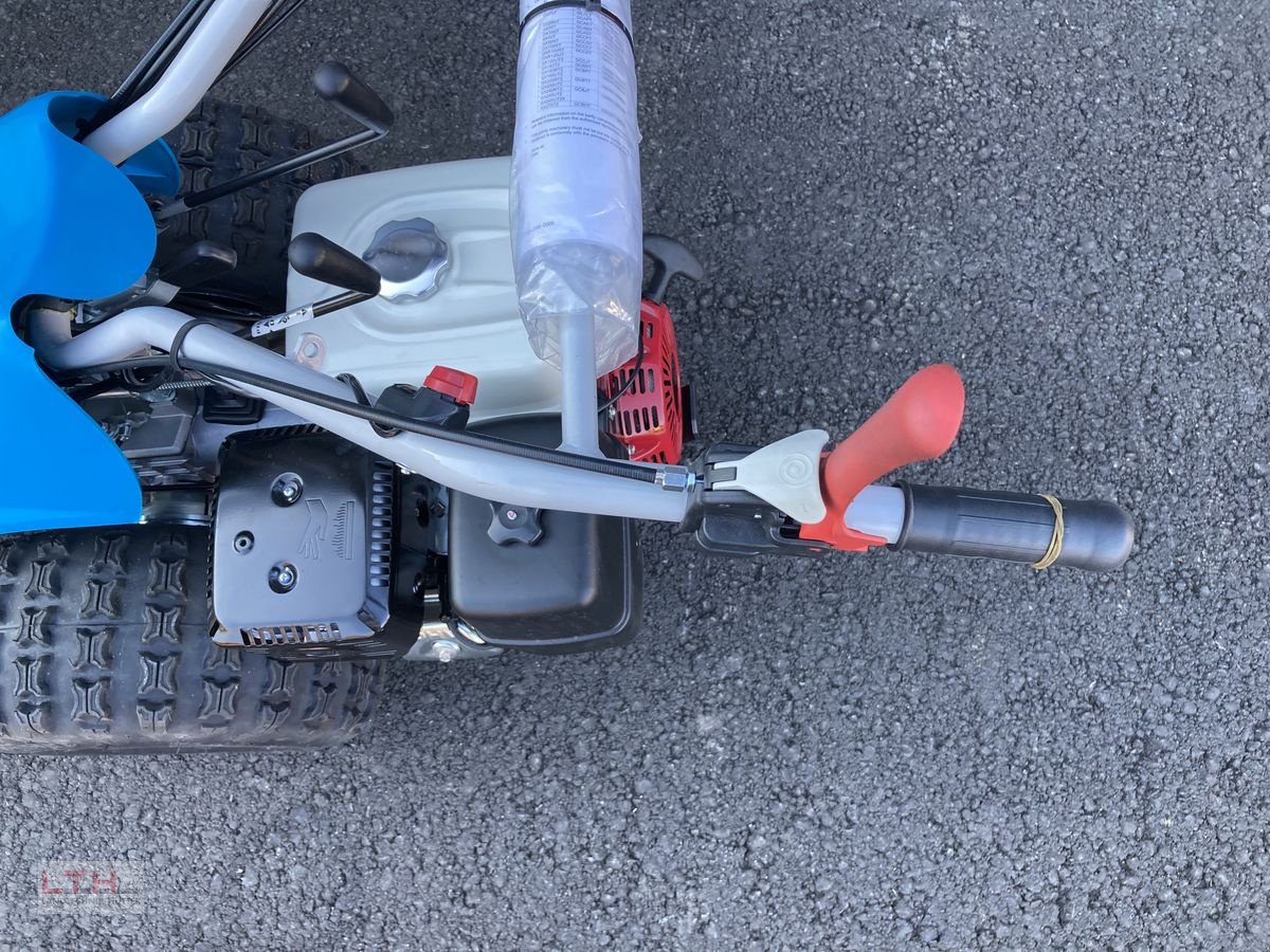 Motormäher του τύπου Bertolini B 103 Alpin, Neumaschine σε Gnas (Φωτογραφία 9)