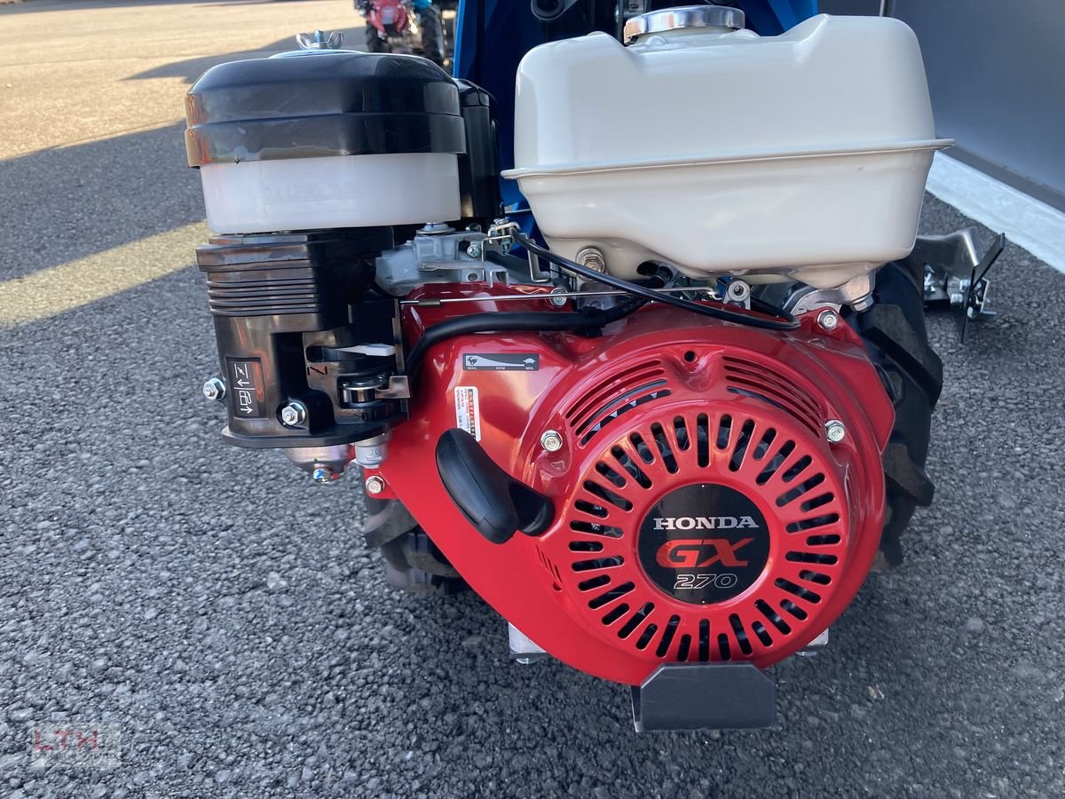 Motormäher del tipo Bertolini B 143, Neumaschine In Gnas (Immagine 7)