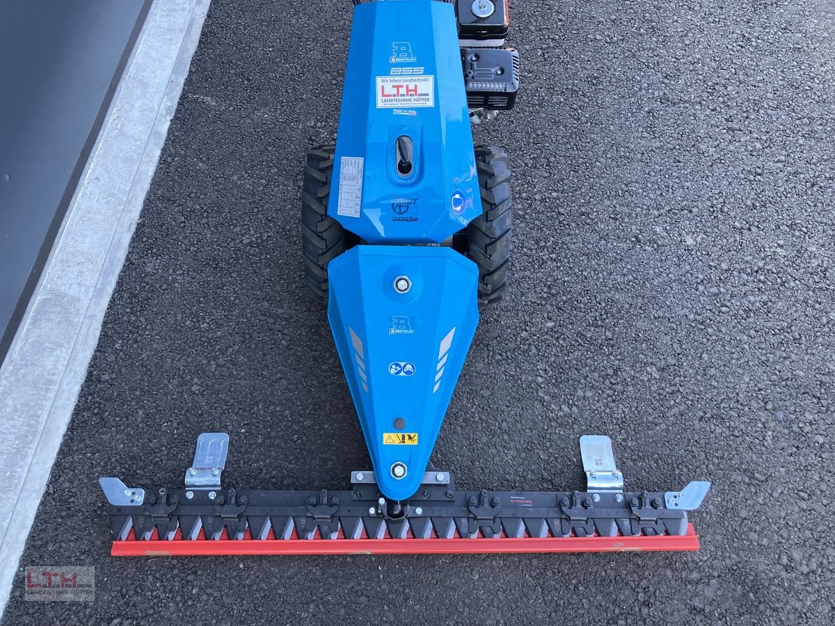 Motormäher of the type Bertolini B 55, Neumaschine in Gnas (Picture 3)