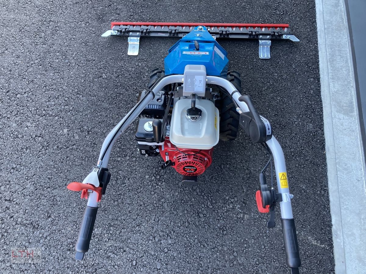 Motormäher of the type Bertolini B 55, Neumaschine in Gnas (Picture 5)