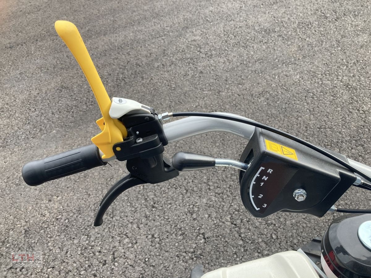 Motormäher of the type Bertolini BTS 80, Neumaschine in Gnas (Picture 10)