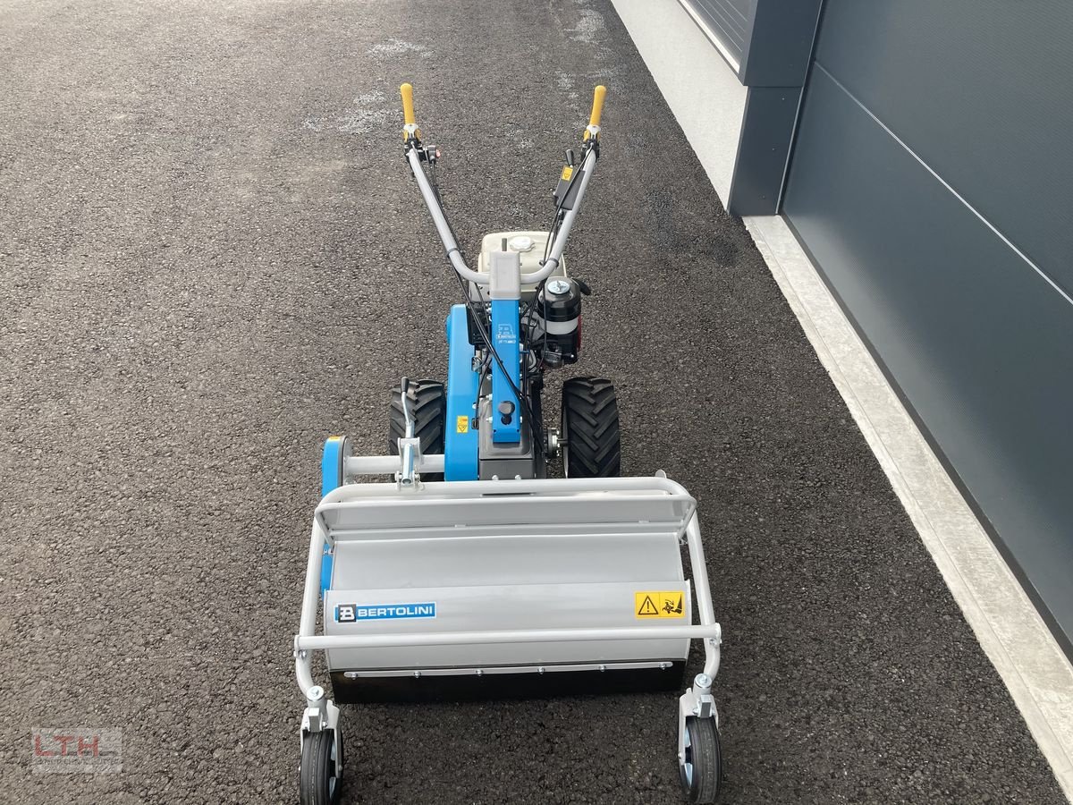 Motormäher of the type Bertolini BTS 80, Neumaschine in Gnas (Picture 5)