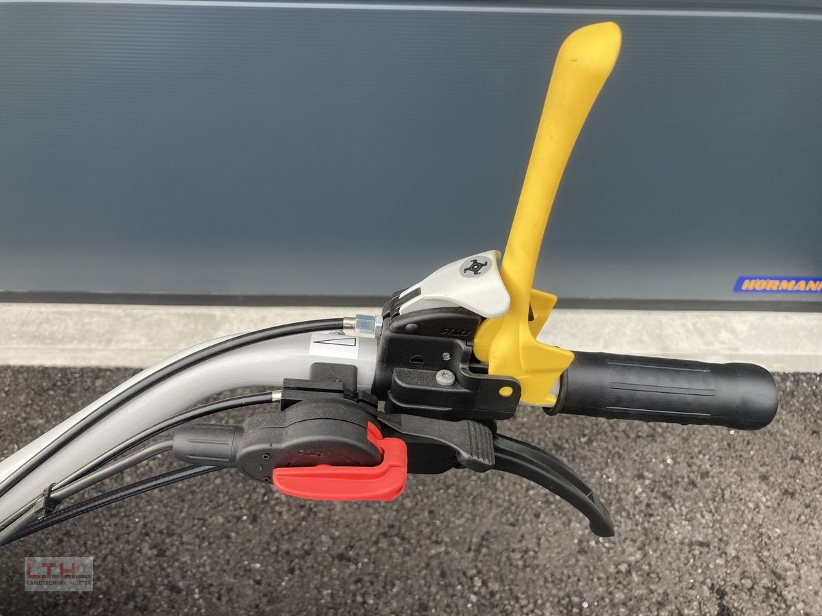 Motormäher of the type Bertolini BTS 80, Neumaschine in Gnas (Picture 11)