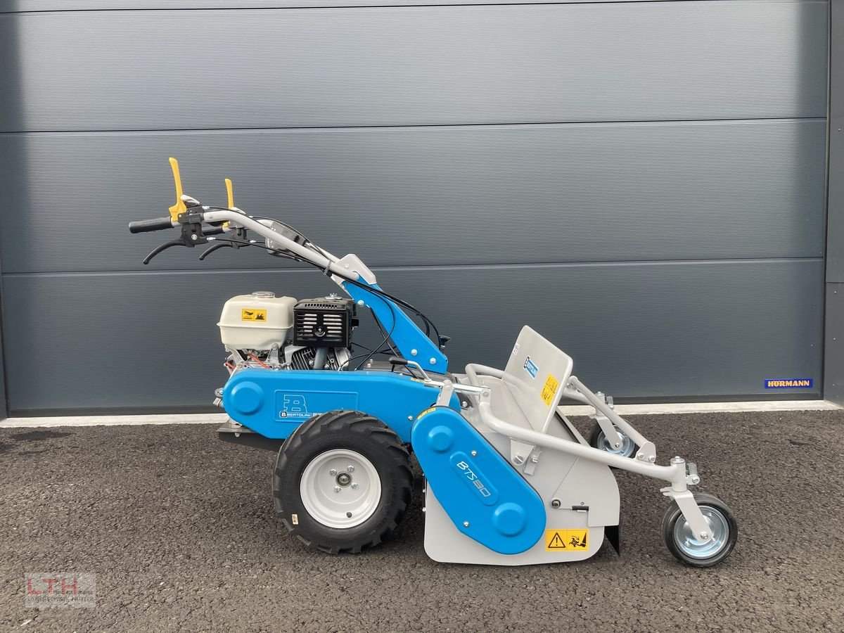 Motormäher of the type Bertolini BTS 80, Neumaschine in Gnas (Picture 1)