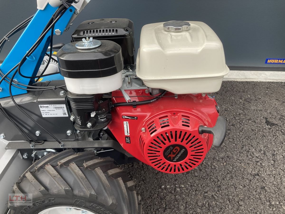 Motormäher of the type Bertolini BTS 80, Neumaschine in Gnas (Picture 8)