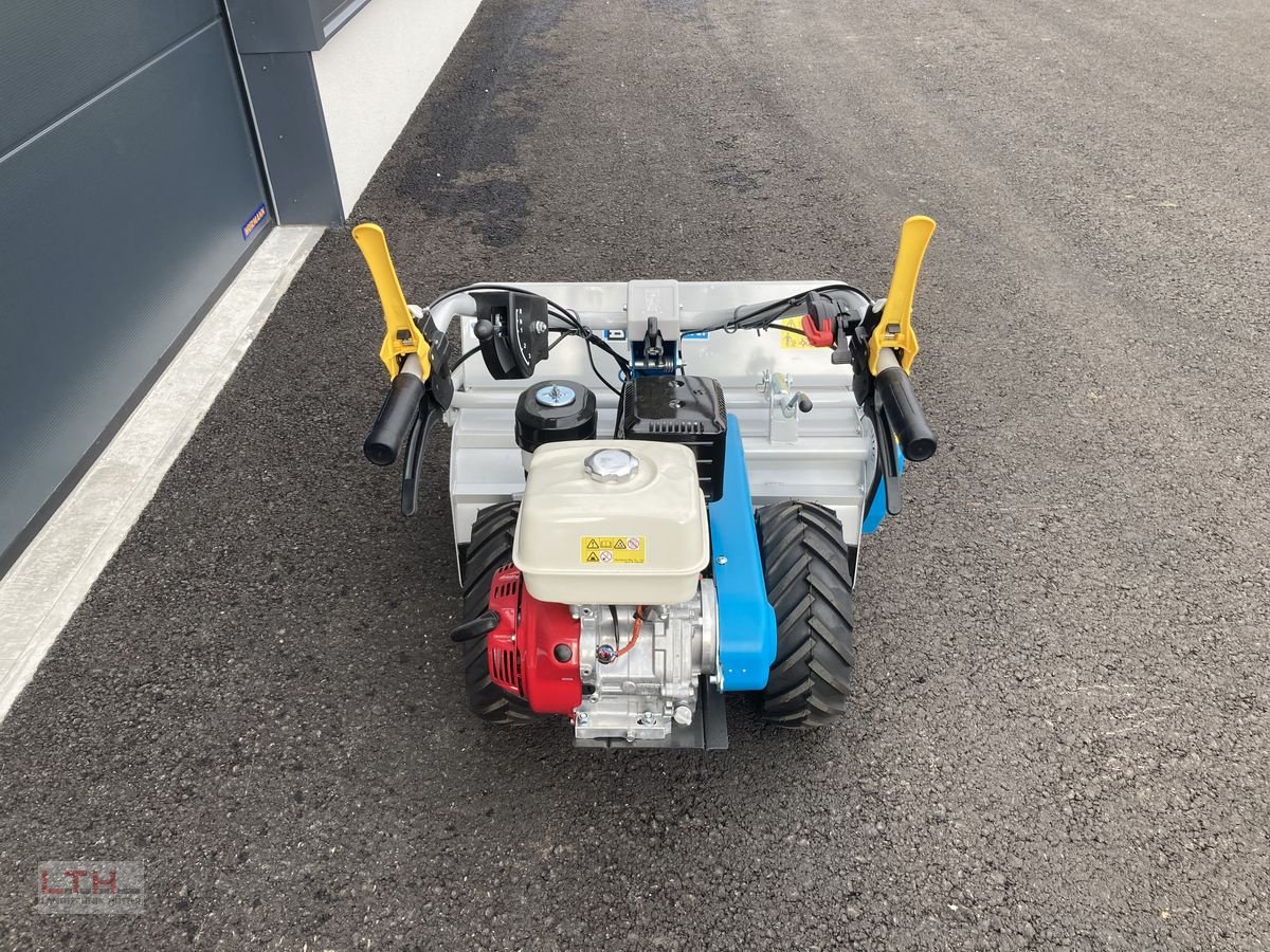 Motormäher of the type Bertolini BTS 80, Neumaschine in Gnas (Picture 3)