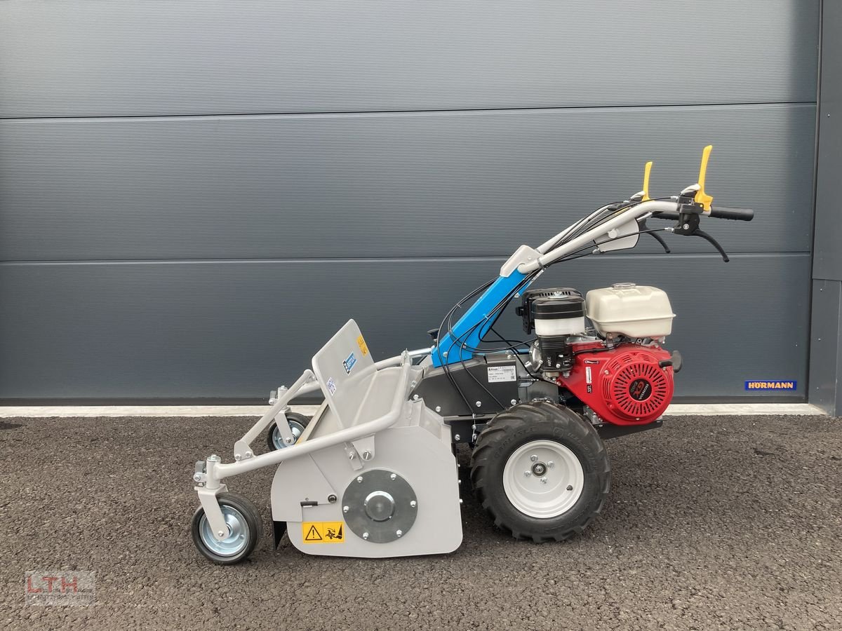 Motormäher of the type Bertolini BTS 80, Neumaschine in Gnas (Picture 7)