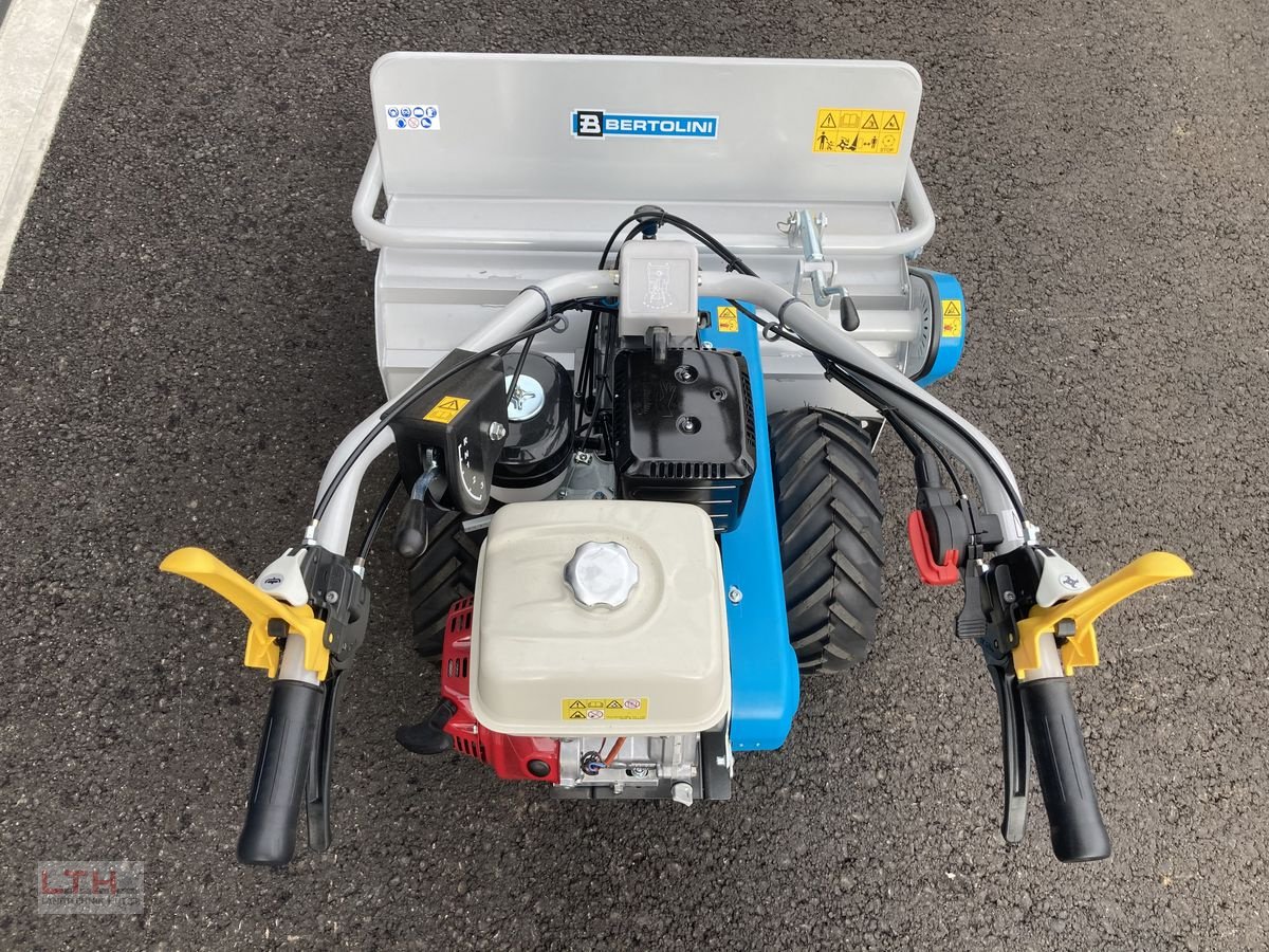 Motormäher of the type Bertolini BTS 80, Neumaschine in Gnas (Picture 4)