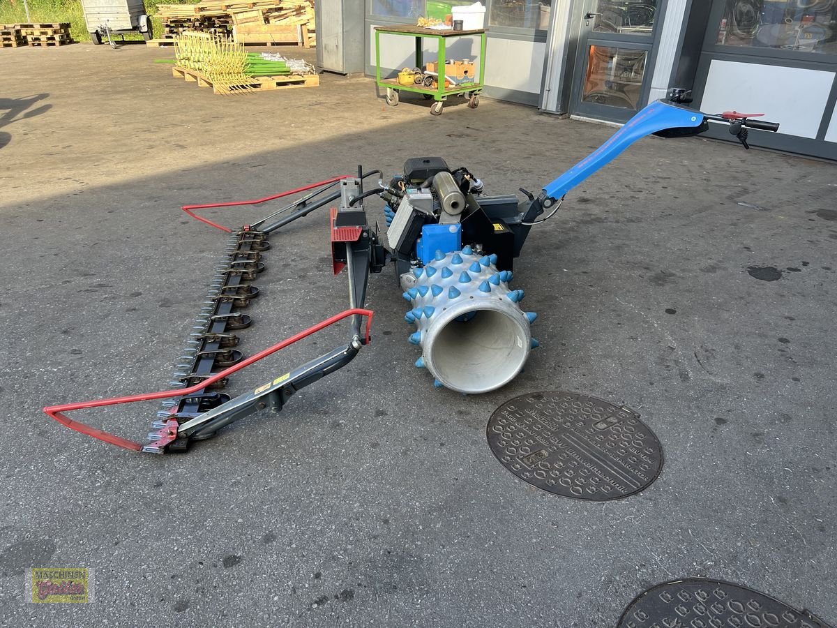 Motormäher del tipo Brielmaier 27 PS, Gebrauchtmaschine In Kötschach (Immagine 5)