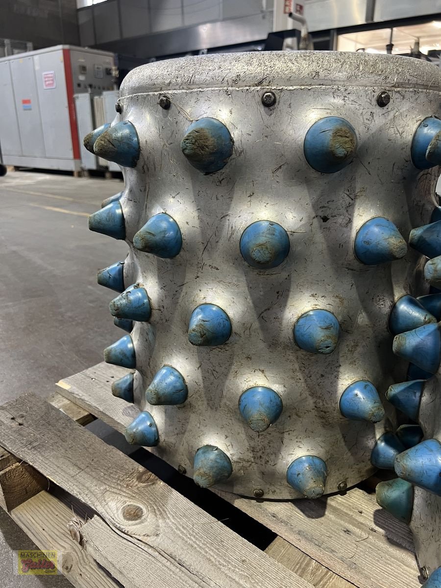 Motormäher typu Brielmaier Alu-Stachelwalzen 5-reihig, Gebrauchtmaschine v Kötschach (Obrázek 6)