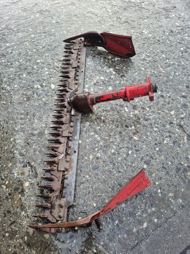 Motormäher des Typs Bucher K2, Gebrauchtmaschine in Landquart (Bild 9)