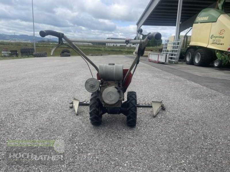 Motormäher of the type Bucher M  150, Gebrauchtmaschine in Kronstorf (Picture 4)