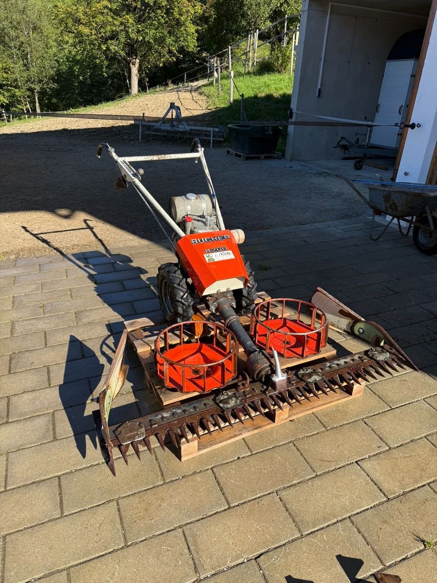 Motormäher a típus Bucher M200, Gebrauchtmaschine ekkor: Reith bei Kitzbühel (Kép 1)
