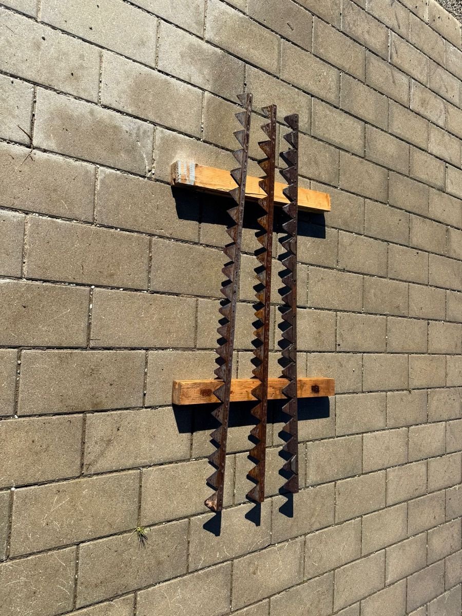 Motormäher a típus Bucher M200, Gebrauchtmaschine ekkor: Reith bei Kitzbühel (Kép 2)