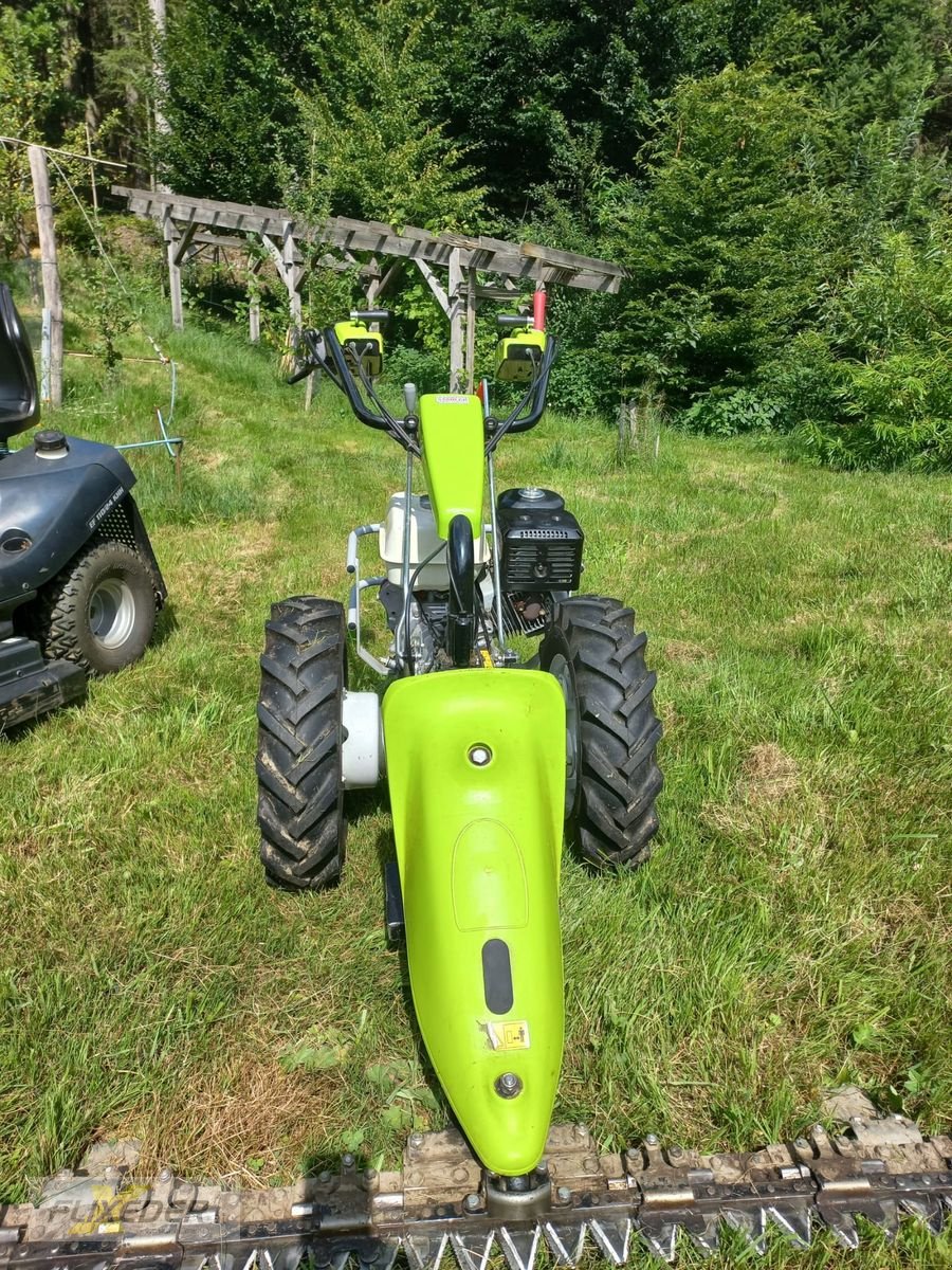 Motormäher Türe ait Grillo G110DF GX390 mit Schlegelmulcher, Gebrauchtmaschine içinde Pattigham (resim 6)